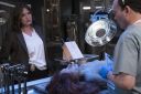 NUP_168925_0884__Law___Order_svu_devils_dissection_hargitay.JPG